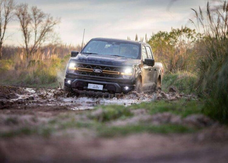 Ford F-150 Tremor em ação