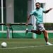 Jogadores do Palmeiras em treino
