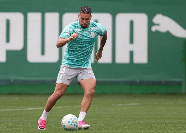 Treino do Palmeiras
