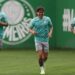 Treino do Palmeiras