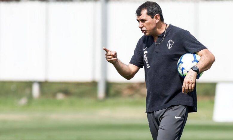 Fábio Carille em ação como treinador