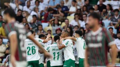 Palmeiras na semifinal da Libertadores