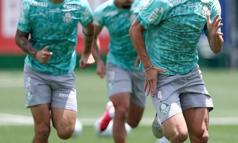 Treino do Palmeiras antes da semifinal