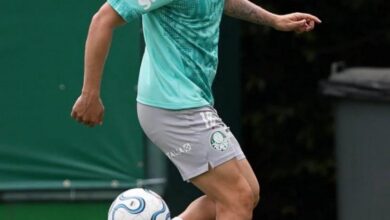 Mauricio jogador Palmeiras em ação