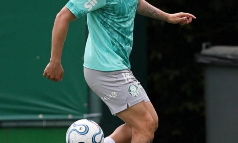 Mauricio jogador Palmeiras em ação