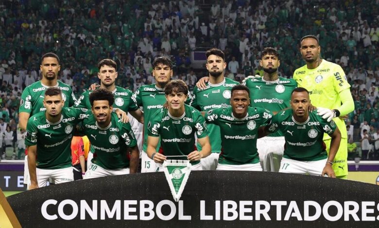 Palmeiras comemora classificação para final da Libertadores