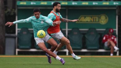 Treino do Palmeiras na Academia; foco em semifinal.