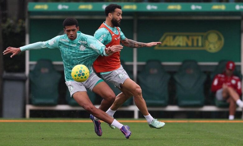 Treino do Palmeiras na Academia; foco em semifinal.