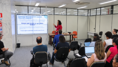 Engenheira agrônoma Sandy Arguelho apresenta panorama do financiamento agrícola