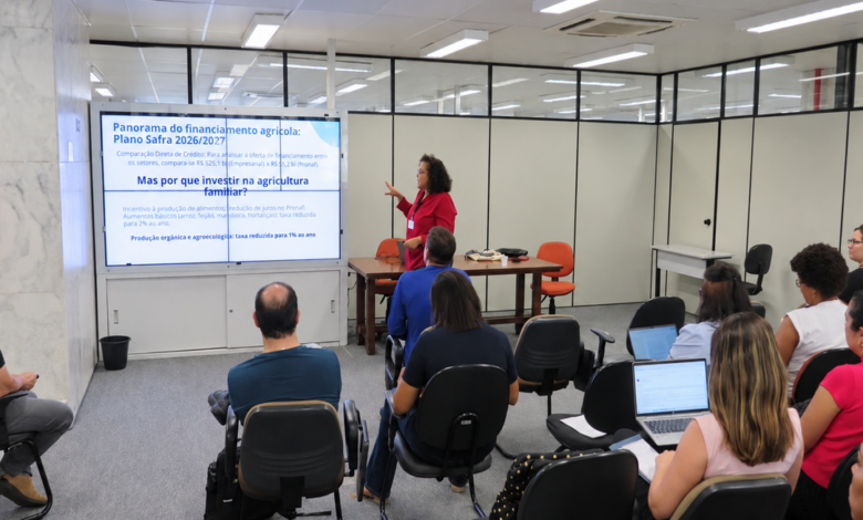 Engenheira agrônoma Sandy Arguelho apresenta panorama do financiamento agrícola