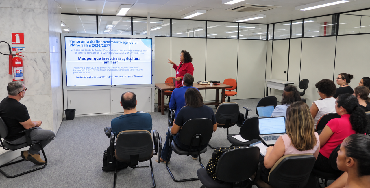 Engenheira agrônoma Sandy Arguelho apresenta panorama do financiamento agrícola