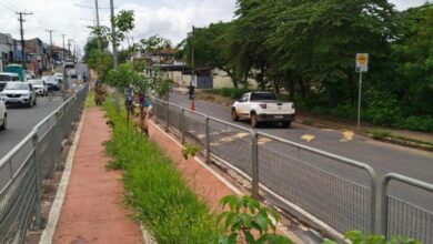 Ciclovia da Av. Thereza Ana Cecon Breda recebe mutirão de poda do mato e limpeza