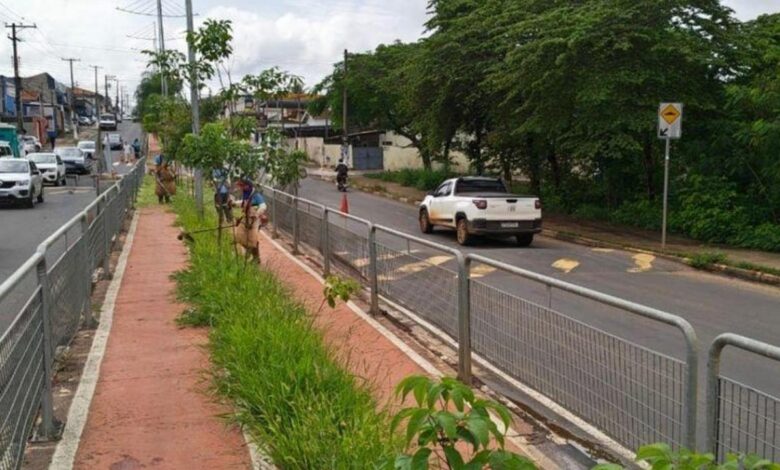 Ciclovia da Av. Thereza Ana Cecon Breda recebe mutirão de poda do mato e limpeza