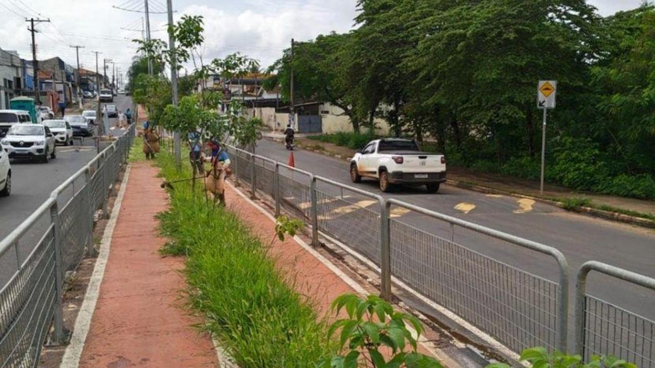 Ciclovia da Av. Thereza Ana Cecon Breda recebe mutirão de poda do mato e limpeza