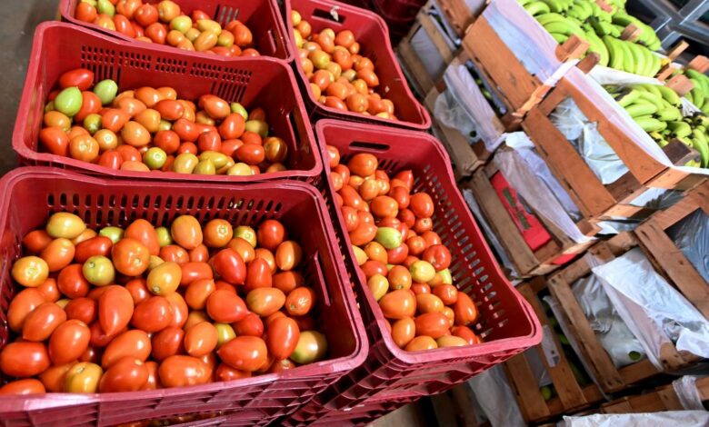 Planejamento das quantidades, armazenamento correto e aproveitamento integral dos alimentos ajudam a reduzir o desperdício na cozinha