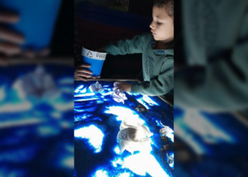 Do Fundo do Mar à Sala de Aula: Um Mergulho no Aprendizado