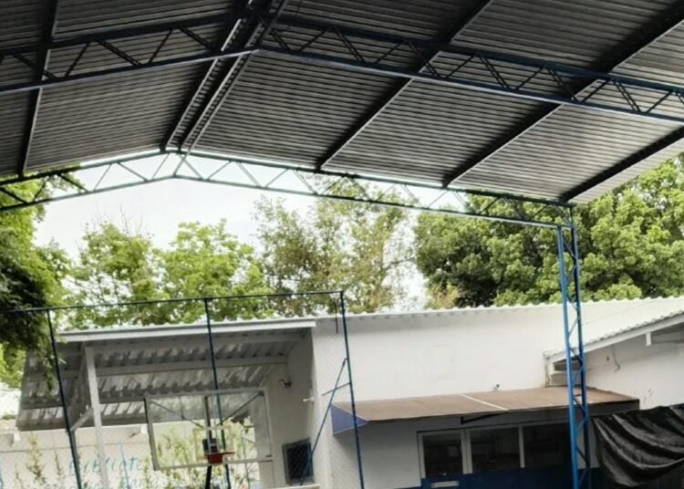 Atividade mostra conservação da natureza e participação de estudantes no ensino fundamental