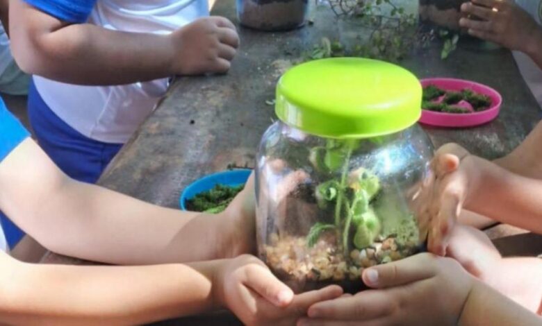 EMEI Jardim Adelaide participa de oficina de terrários no Parque Irmã Dorothy