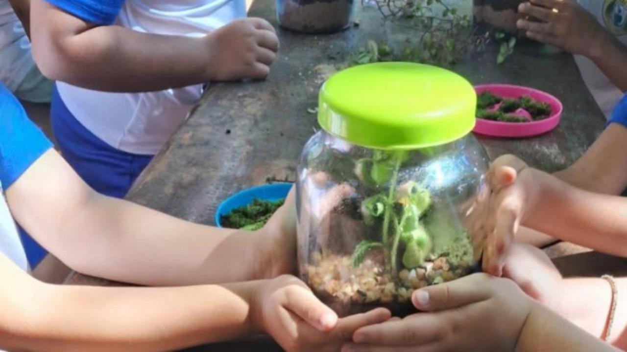 EMEI Jardim Adelaide participa de oficina de terrários no Parque Irmã Dorothy