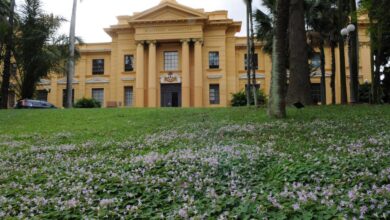 Iniciativa busca apresentar como o conhecimento produzido pelos pesquisadores contribui para o desenvolvimento do agronegócio