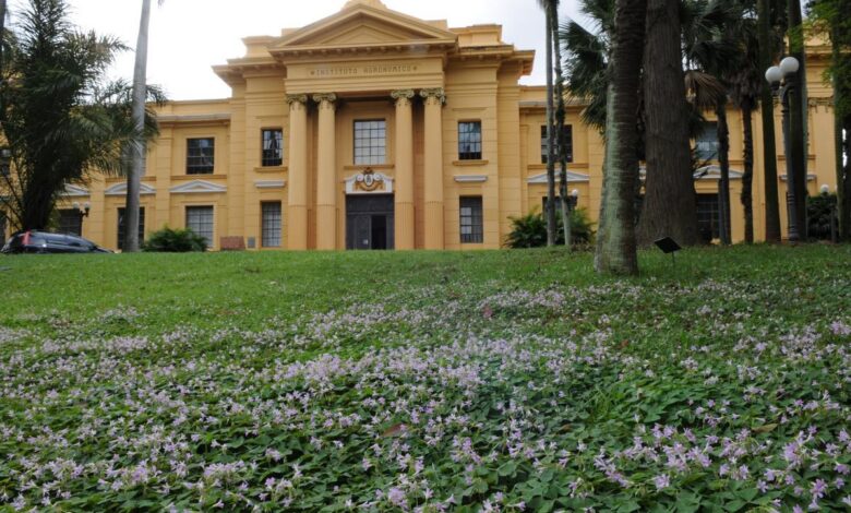 Iniciativa busca apresentar como o conhecimento produzido pelos pesquisadores contribui para o desenvolvimento do agronegócio