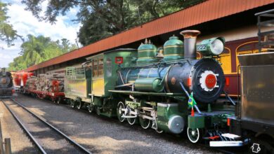 Passeio de Maria Fumaça parte de Campinas e percorre trechos de antiga ferrovia; Observatório Municipal Jean Nicolini é referência em ciência; Torre do Castelo oferece vista panorâmica; Aquário Municipal exibe peixes de água doce e marinha