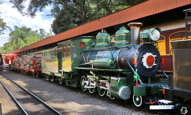 Passeio de Maria Fumaça parte de Campinas e percorre trechos de antiga ferrovia; Observatório Municipal Jean Nicolini é referência em ciência; Torre do Castelo oferece vista panorâmica; Aquário Municipal exibe peixes de água doce e marinha