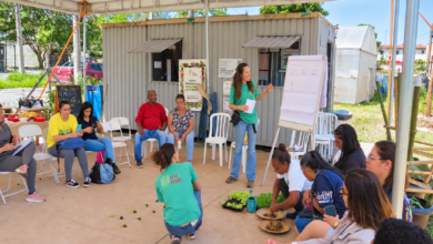 Profissionais e lideranças do Campo Grande em workshop sobre hortas comunitárias no Jardim Florence