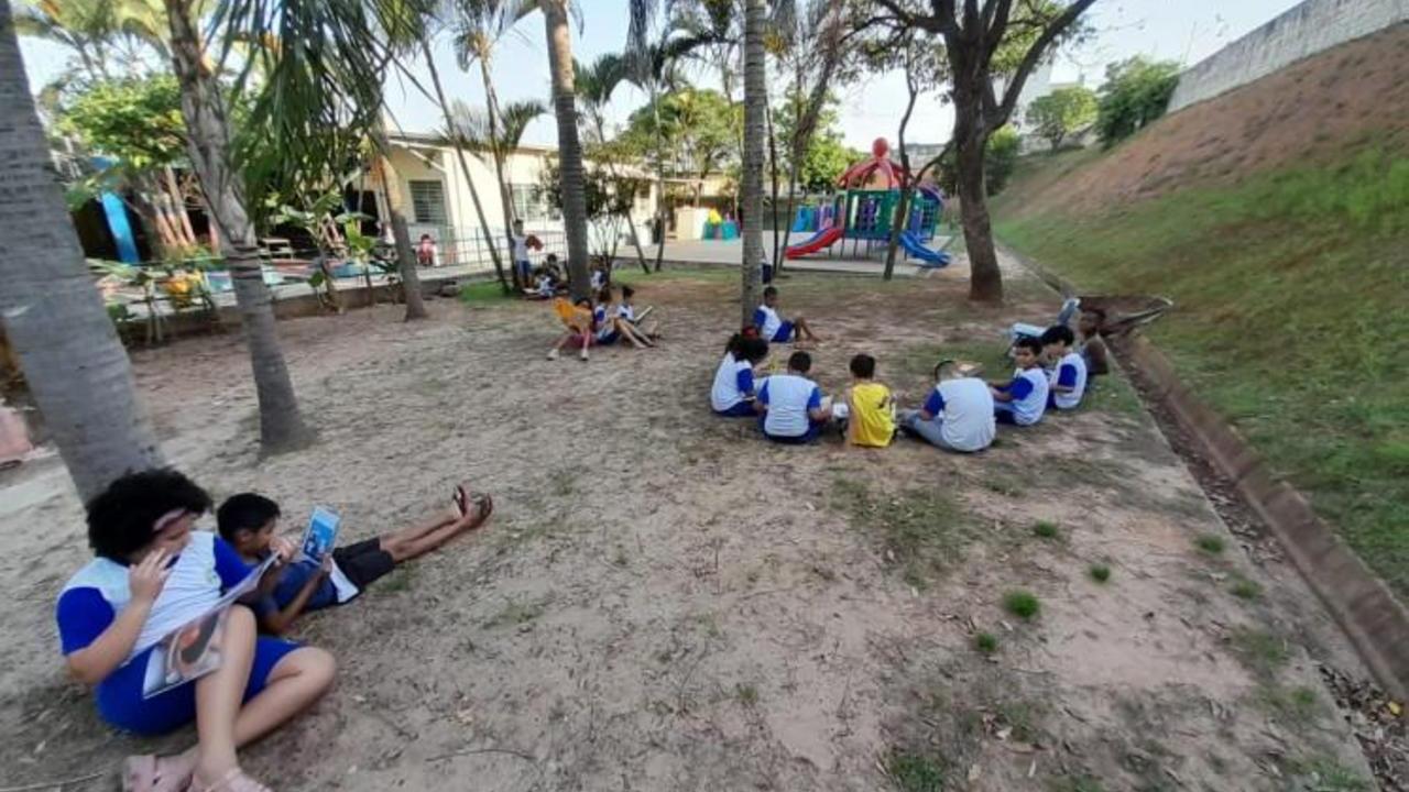 Leitura em Meio a Natureza