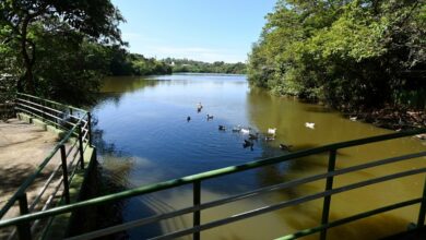 Parque Ecológico Hermógenes de Freitas Leitão Filho em Barão Geraldo aberto após redução das chuvas