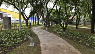 Parque Bosque dos Artistas fechado em decorrência das chuvas