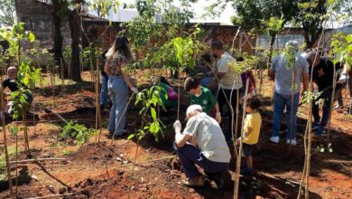 Prefeitura implanta microfloresta urbana no Jd. Mirante