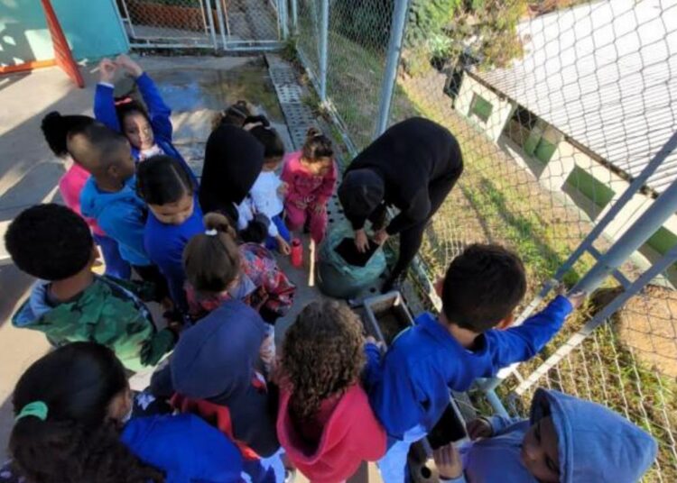 Projeto preservação do Meio Ambiente
