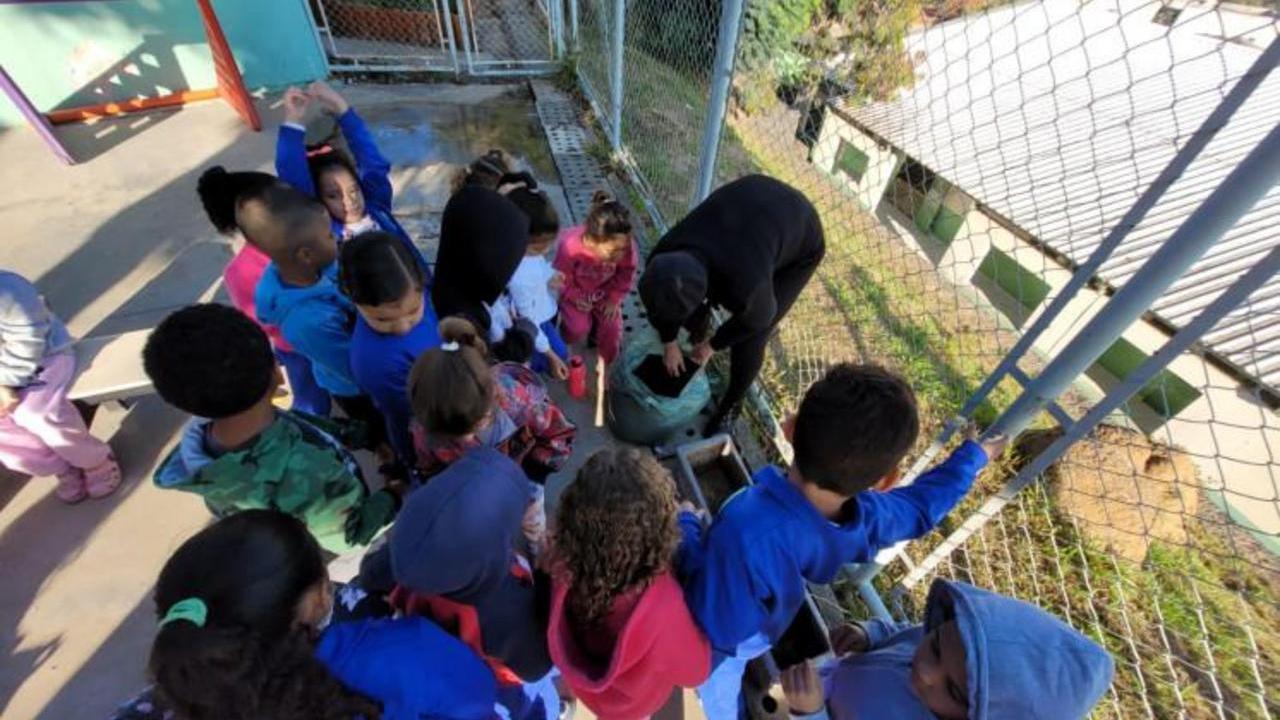 Projeto preservação do Meio Ambiente