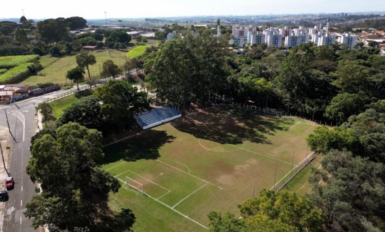 Bosque Ferdinando Tilli foi reaberto após redução no volume de chuvas