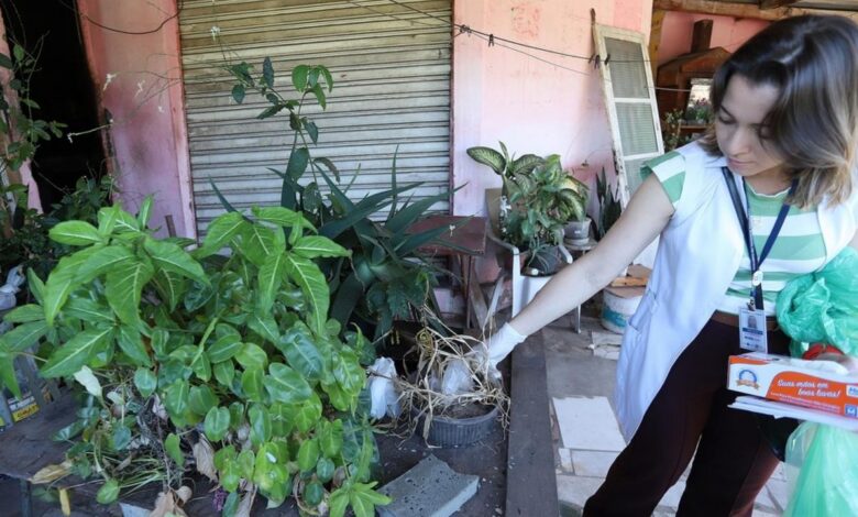 Comitê de Prevenção e Controle de Arboviroses atua na orientação da população