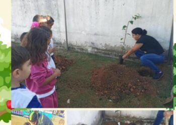 Um Pomar na Escola
