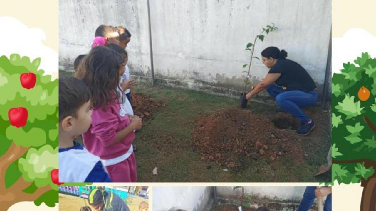 Um Pomar na Escola