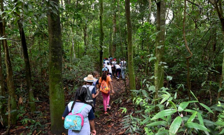 programação especial gratuita para famílias na Mata de Santa Genebra durante a Semana da Criança